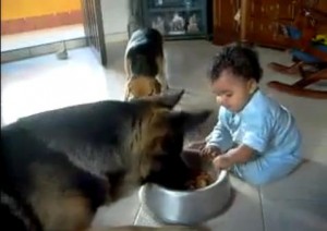 videos de bebes