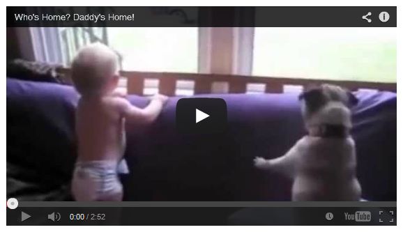 vídeos de bebés